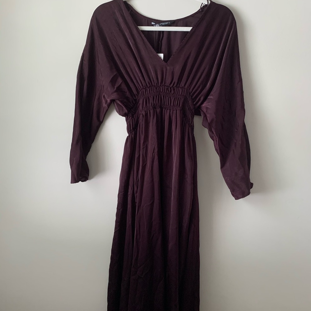 NWT Plum Zara Dress